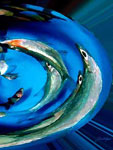 Circle of the Sea Circle of the Sea